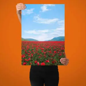 Bild der Kategorie Poster drucken - Fotoposter bestellen auf BILDER EXPRESS 📷⚡