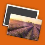 Fotomagnete bestellen: Magnete mit Foto