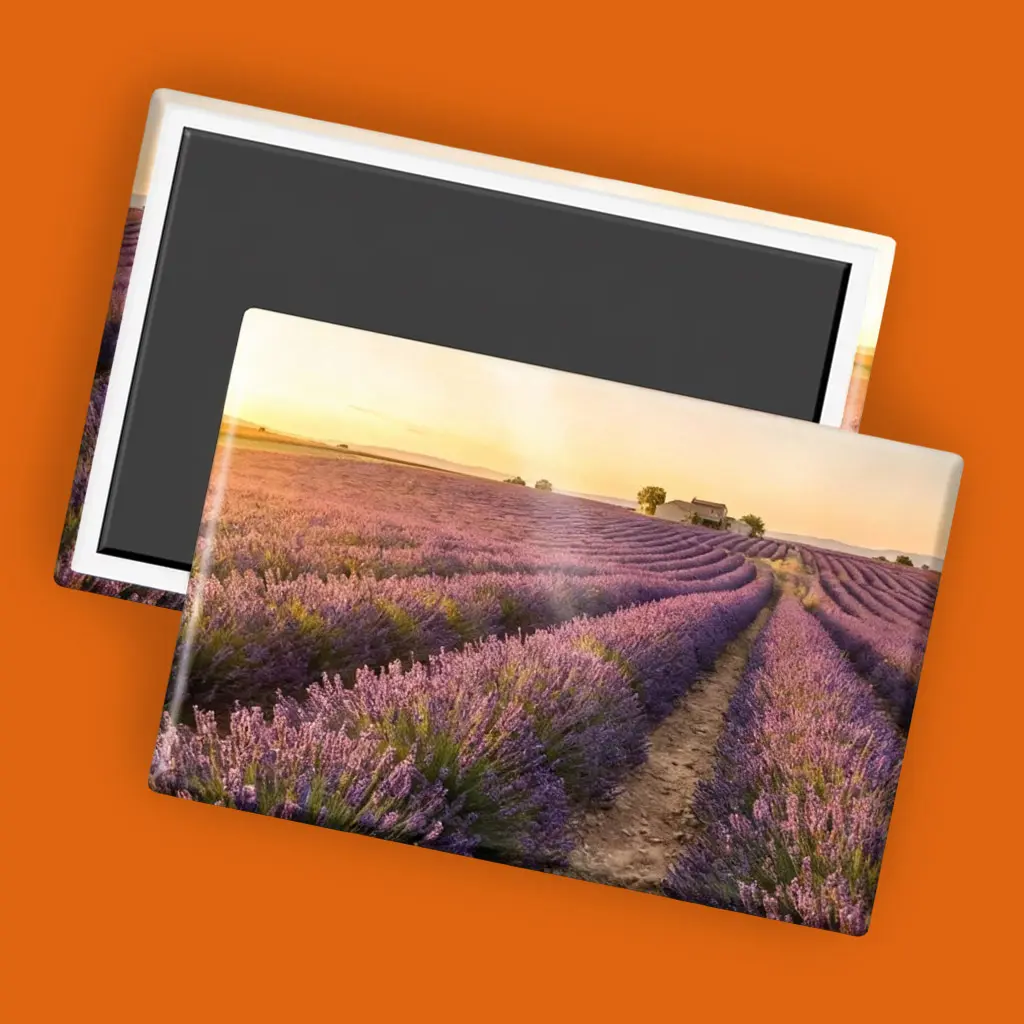 Fotomagnete bestellen: Magnete mit Foto