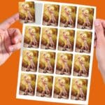 Fotosticker bestellen: 16 selbstklebende Aufkleber