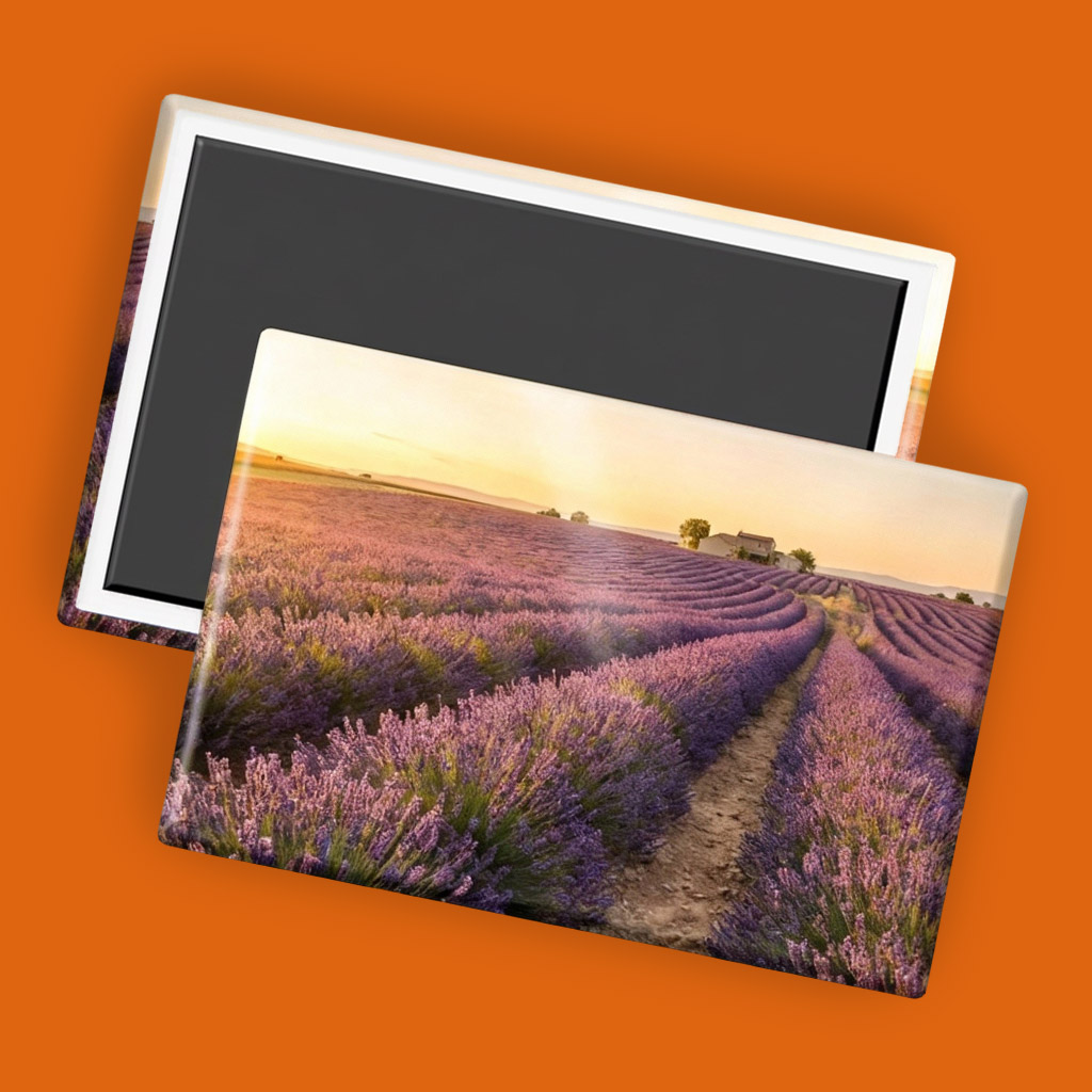 Fotomagnete bestellen: Magnete mit Foto